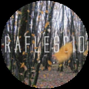 Raflescio 的头像