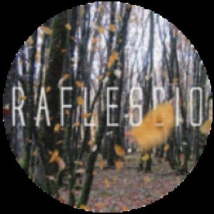 Avatar for Raflescio