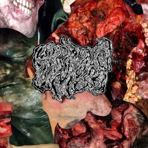 Brain Mush 的头像