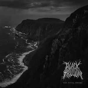 The Fatal Shore