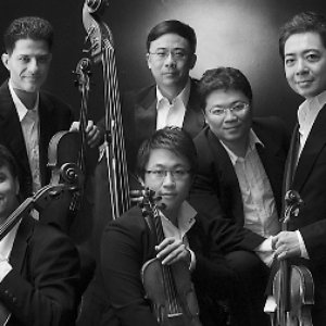 Hong Kong Pure Strings 的头像