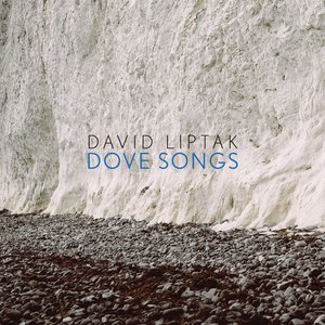 Dove Songs