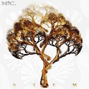 STEM
