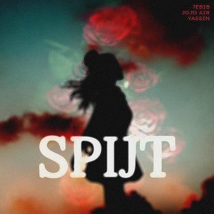 Spijt - Single