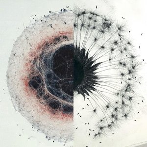 Dandelions