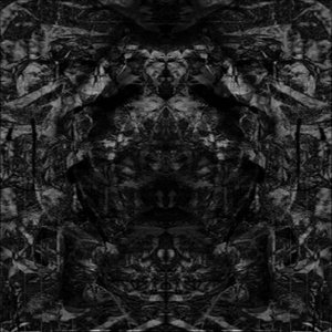 The Jagged Womb