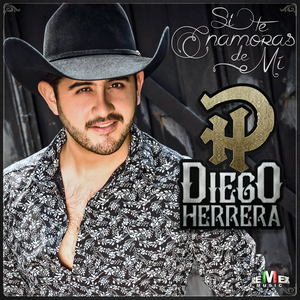 Artwork for Fregones Mis Viejos