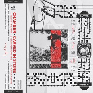 Carved in Stone - Single