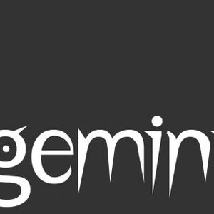 The Gemini Experiment 的头像