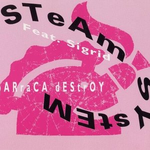 Steam System のアバター