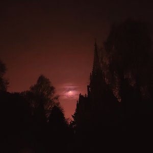 Blood Vow