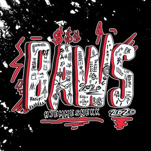Baws 2020 - Hjemmesnekk