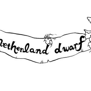 Netherland Dwarf 的头像