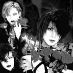 Croix Allcine 的头像