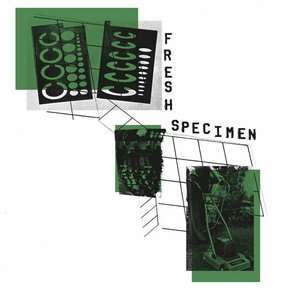 Fresh Specimen S/T