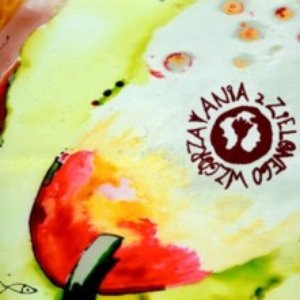 “Ania z Zielonego Wzgórza”的封面