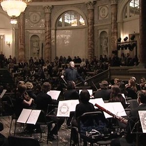 Аватар для St. Petersburg Orchestra of the State Hermitage Museum Camerata