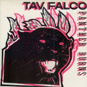 Tav Falco Panther Burns
