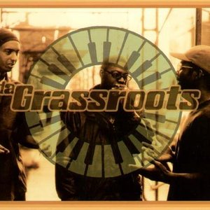 Da Grassroots 的头像