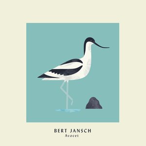 “Avocet”的封面