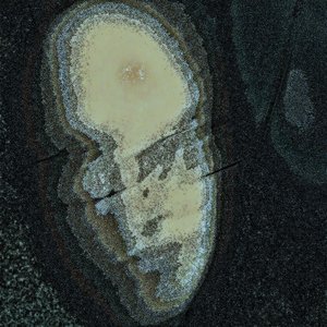 experiMENTALien 的头像