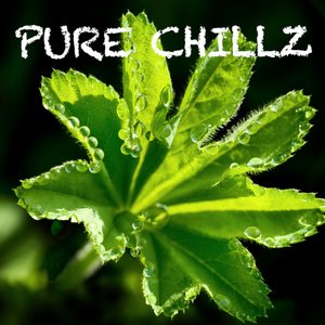 Pure Chillz - Volume One