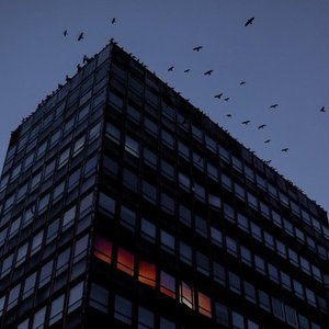 Ebolabeats 的头像