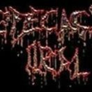 Defecação Oral 的头像