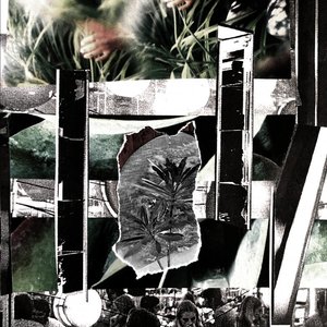 RE.PRO.COR. 的头像