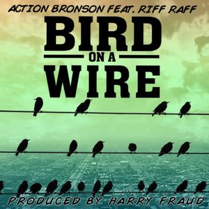 Bird On A Wire (Single)