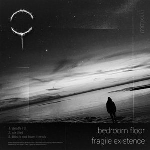 Fragile Existence