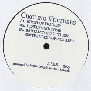 Circling Vultures