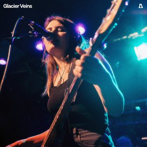 Glacier Veins on Audiotree Live