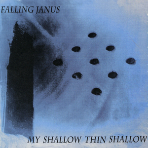 My Shallow Thin Shallow cover