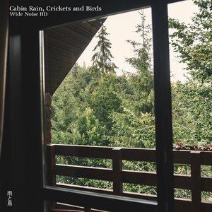 Cabin Rain, Crickets and Birds