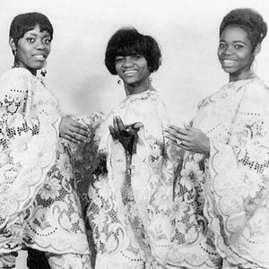 Patti And The Lovelites 的头像