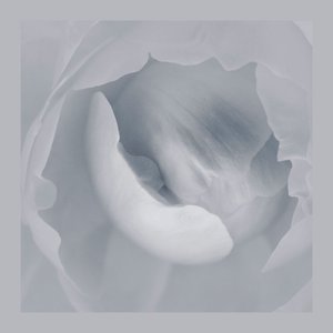 The Fabric of Silence