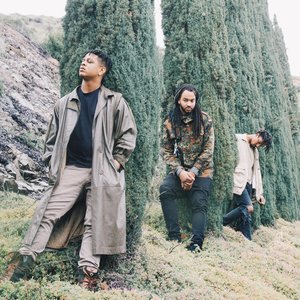 code green 的头像