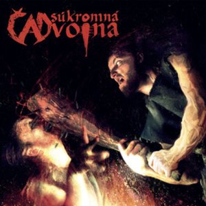 Sukromna Vojna