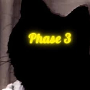 Phase 3