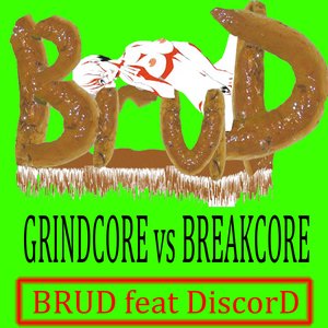 DiscorD - BRUD_samples