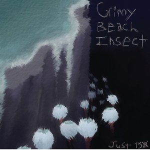 Grimy Beach Insect