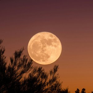 Moonrise Meditation, Calm Ambient Music