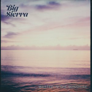 Wasted in the Sunshine