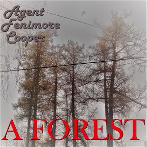 A Forest