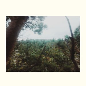 The Echo Field