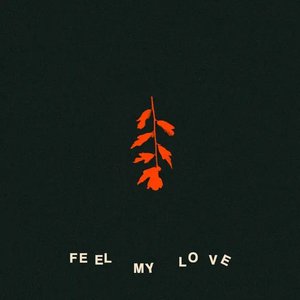 Feel My Love (Novarupta Reimagining)