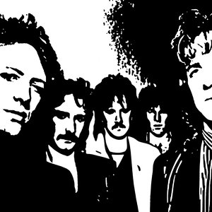 Secret Function 的头像