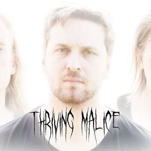 Thriving Malice 的头像