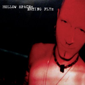 HOLLOW SPACEz EATING FLYz 的头像